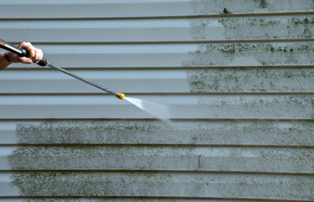 Best Vinyl Siding Pressure Washing in Spotsylnia Courthouse, VA